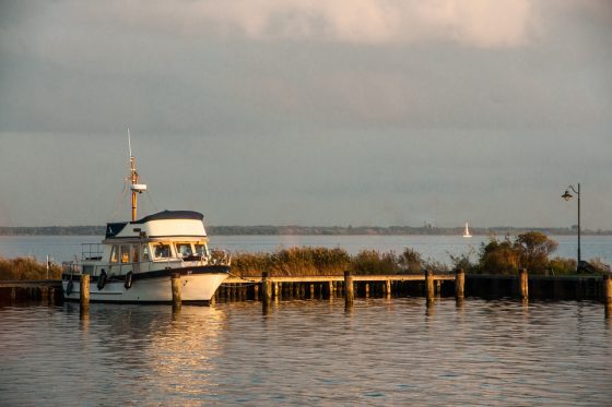 Avoid Common Pitfalls: The Top Investing Tips You Need to Know