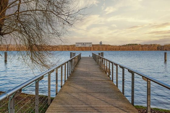 Smart Money Moves: Investing Tips to Grow Your Wealth