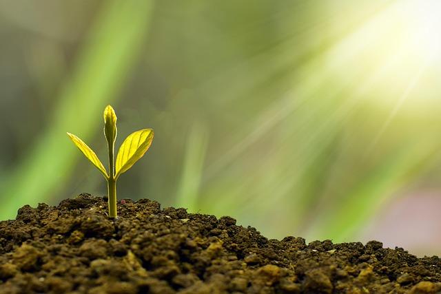 Getting Your Money Mindset in Check